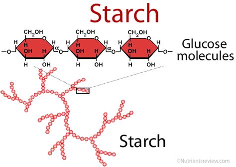 From Ordinary to Extraordinary: The Magic of Sizing Starch.